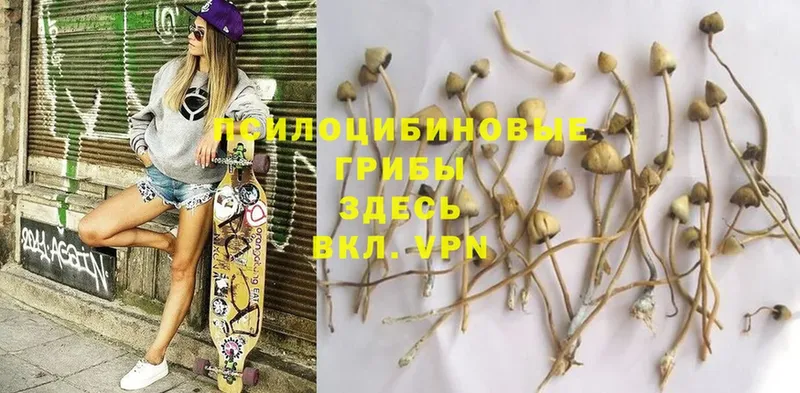 Псилоцибиновые грибы Magic Shrooms  это состав  Баймак  где продают  